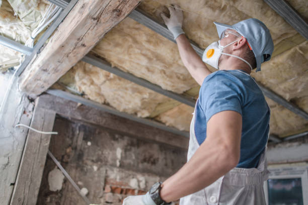 Professional Insulation Contractor in Buffalo Center, IA