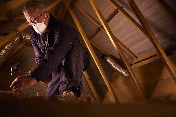 Best Blown-in Insulation in Buffalo Center, IA