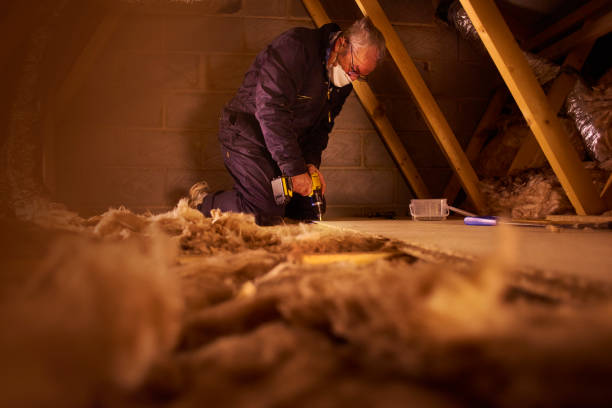 Best Spray Foam Insulation in Buffalo Center, IA